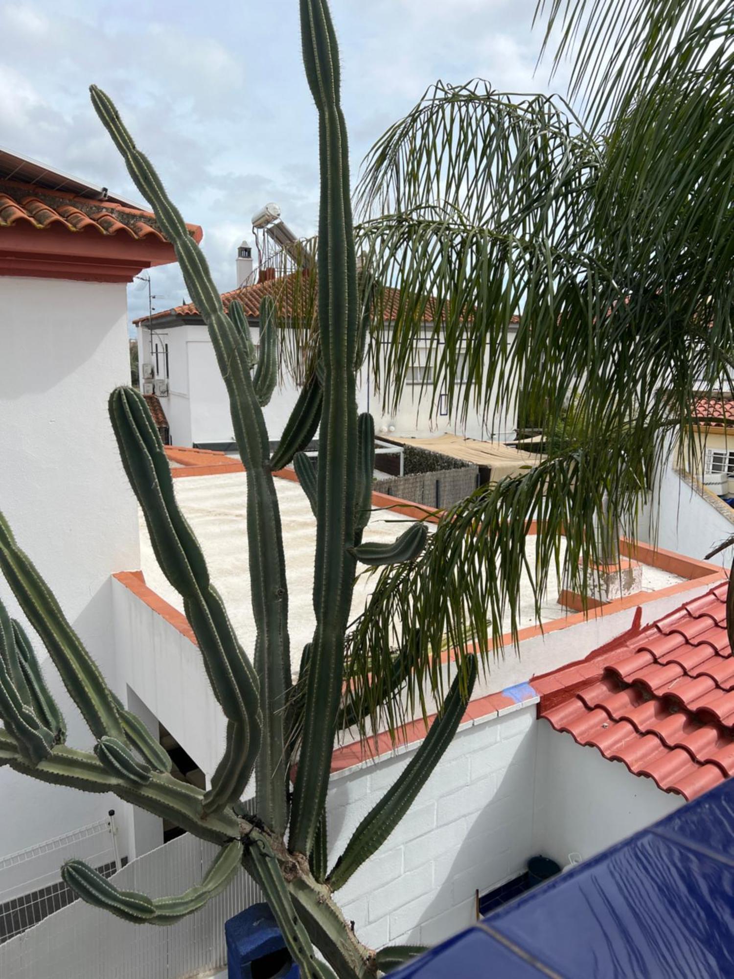Apartment Mex-goretti House Mairena del Aljarafe
